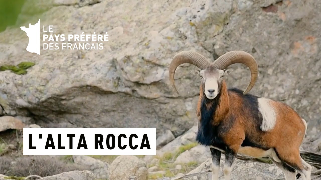 L'Alta Rocca - Corse du Sud - Les 100 lieux qu'il faut voir - Documentaire