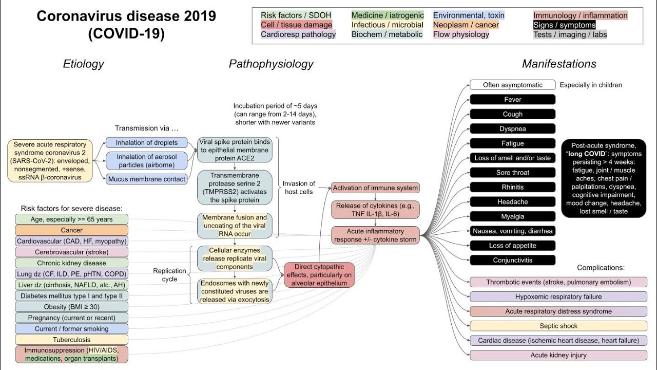 Coronavirus disease 2019 (COVID-19, mechanism of disease)