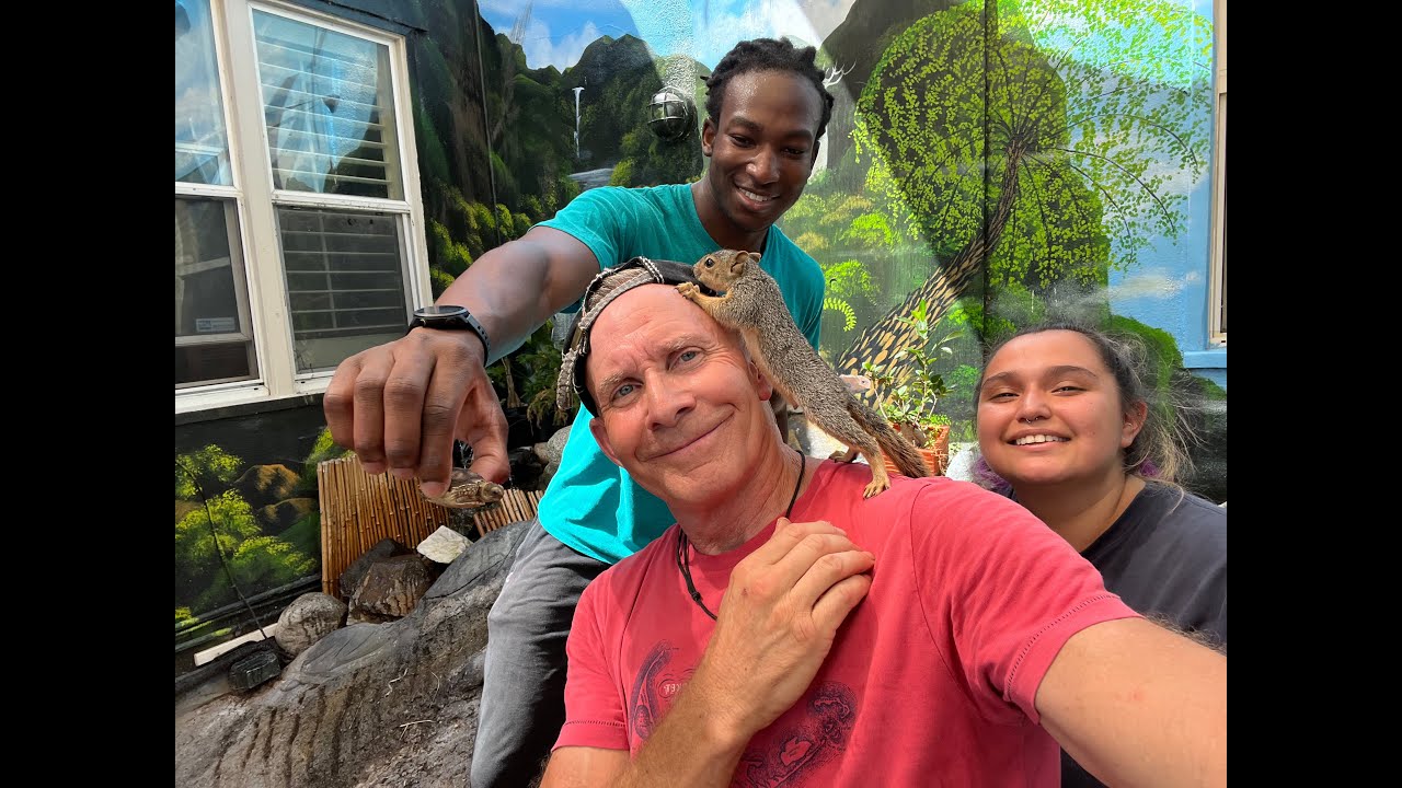 How to care for BABY Tortoises with Awesome DANIEL & NICKY the 🐿️ 🐢❤️!