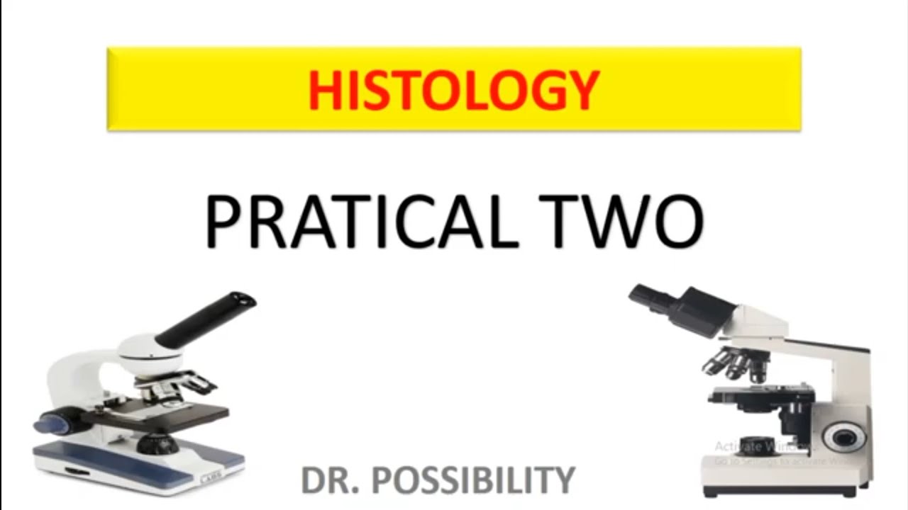 CELL AND CELLULAR ORGANELLE - HISTOLOGY PRACTICAL TWO