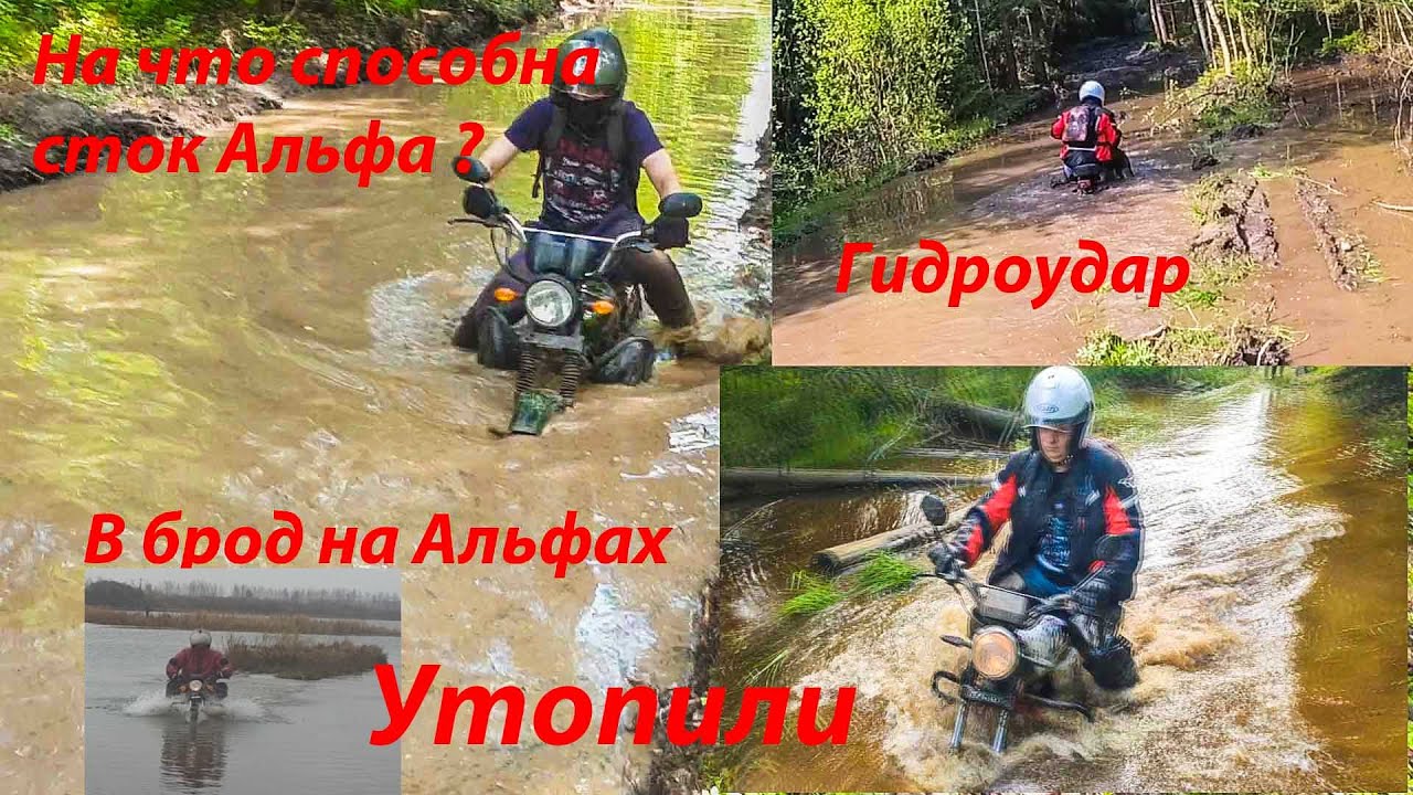 На альфе в брод, альфа по грязи, утопили Альфу... Тест-драйв ч.2 / Honda cub / off road / Гидроудар
