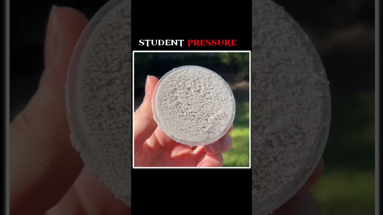 When Student Fear Turns Into Pressure | Student Reality 🔥 #shorts #shortsfeed