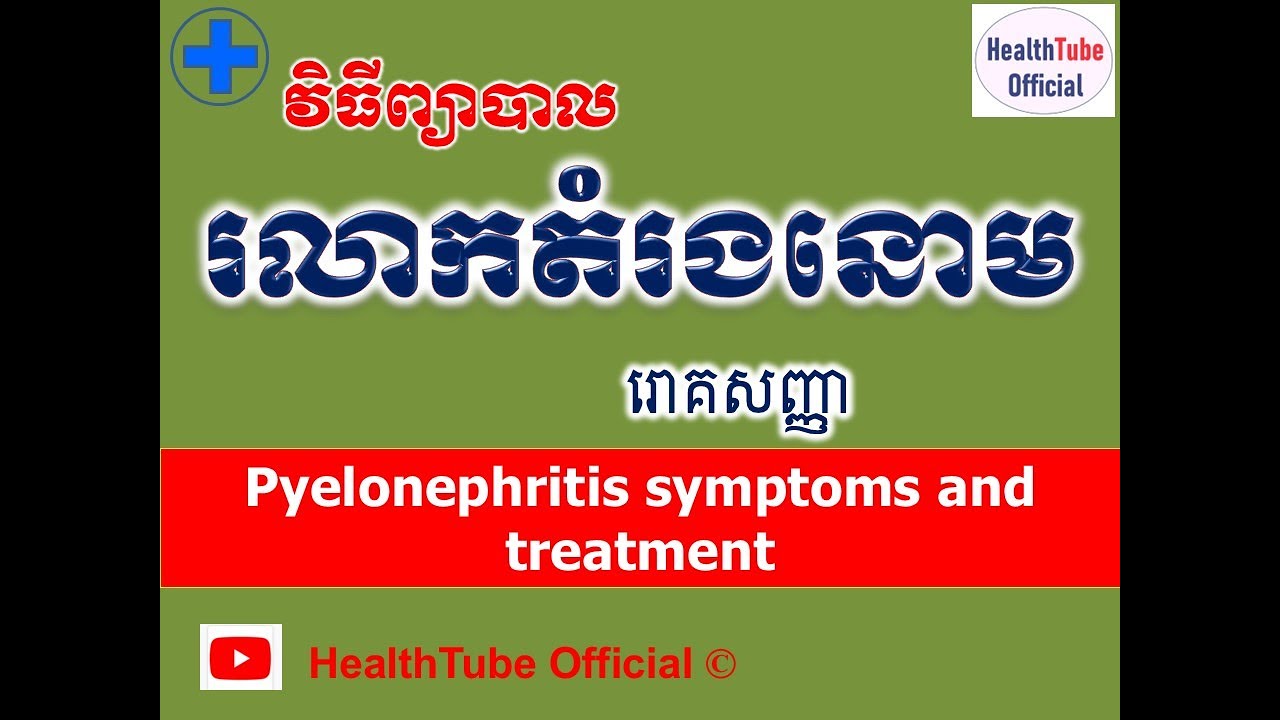 រលាកតំរងនោម រោគសញ្ញានិងវិធីព្យាបាល l Pyelonephritis symptoms and treatment l HealthTube Official