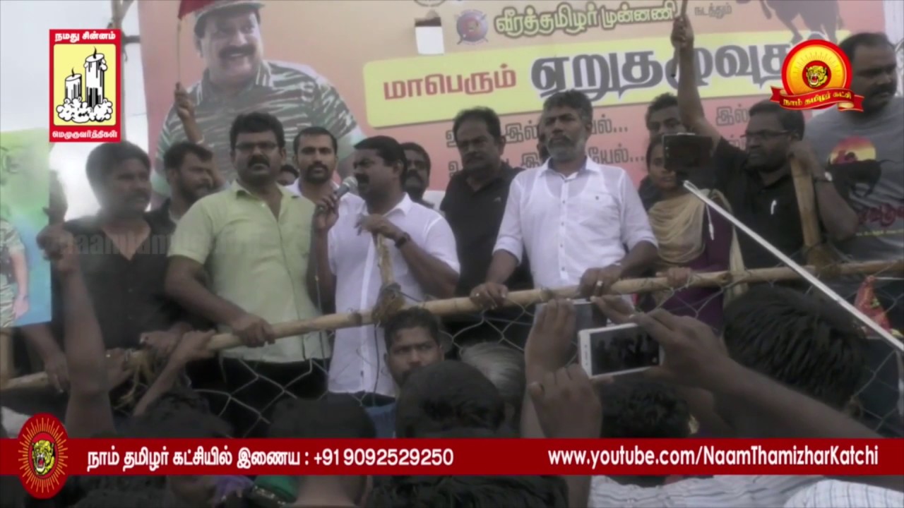 ஜல்லிக்கட்டு தடை: தமிழர் பண்பாட்டின் மீதான போர் | Madurai Jallikattu : Seeman Speech1