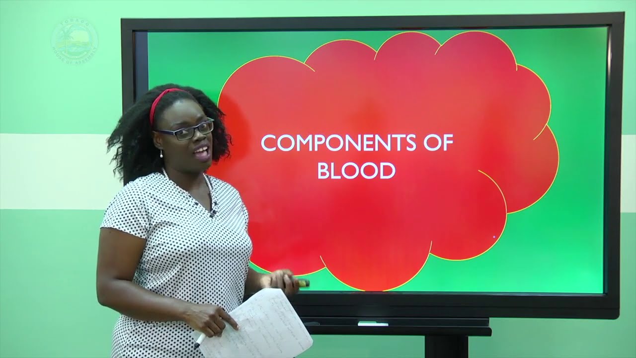 CSEC Biology- Transport in Plants and Animals Pt 1 of 2 continued
