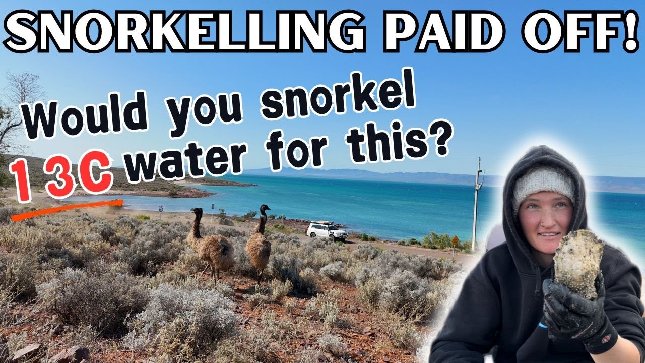 BEAUTIFUL FREE Beachfront, dog friendly camp - Spencer Gulf, Eyre Peninsula | Caravanning South Aus!