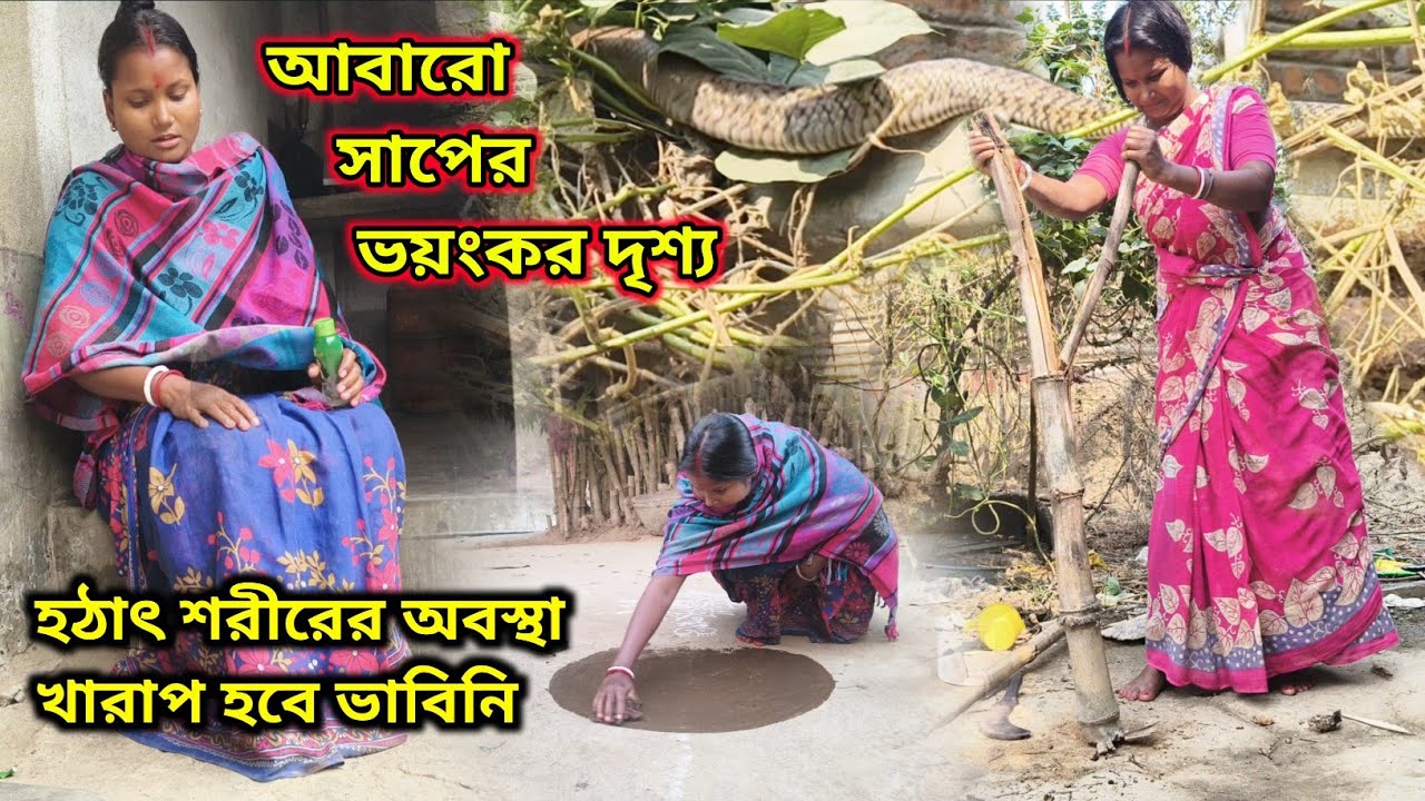 আবারও সাপের কবলে ভয়ংকর দৃশ্য! হঠাৎ শরীর খারাপ হয়ে যাবে ভাবিনি কি যে হল আমার