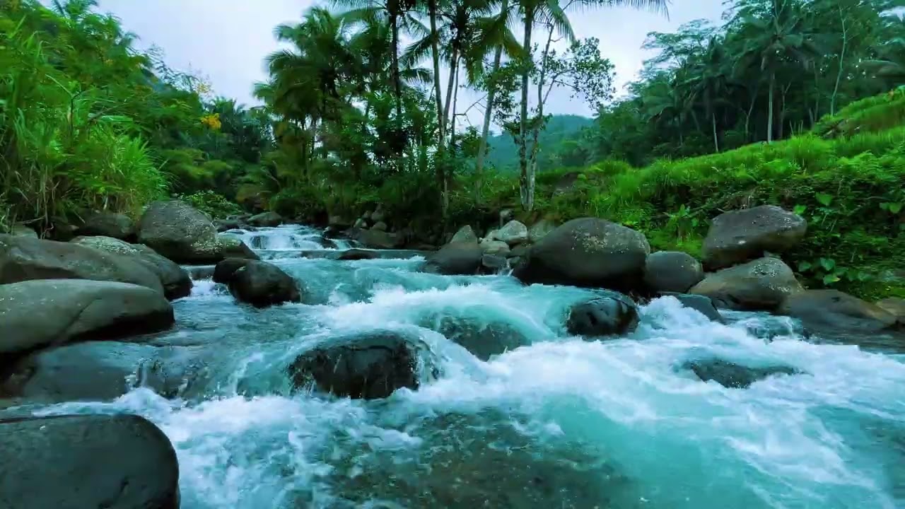 Deep Sleep River Sounds in Tropical Rainforest Ambience