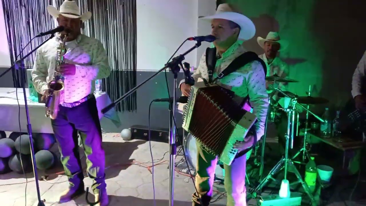 Caballo 🐎 loco 