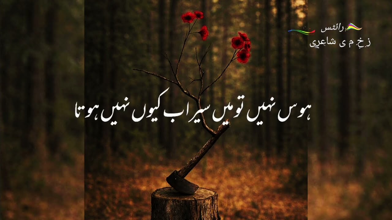 Best poetry video. Best poetry lines. Best poetry for status. Best lovely video. Viral poetry.