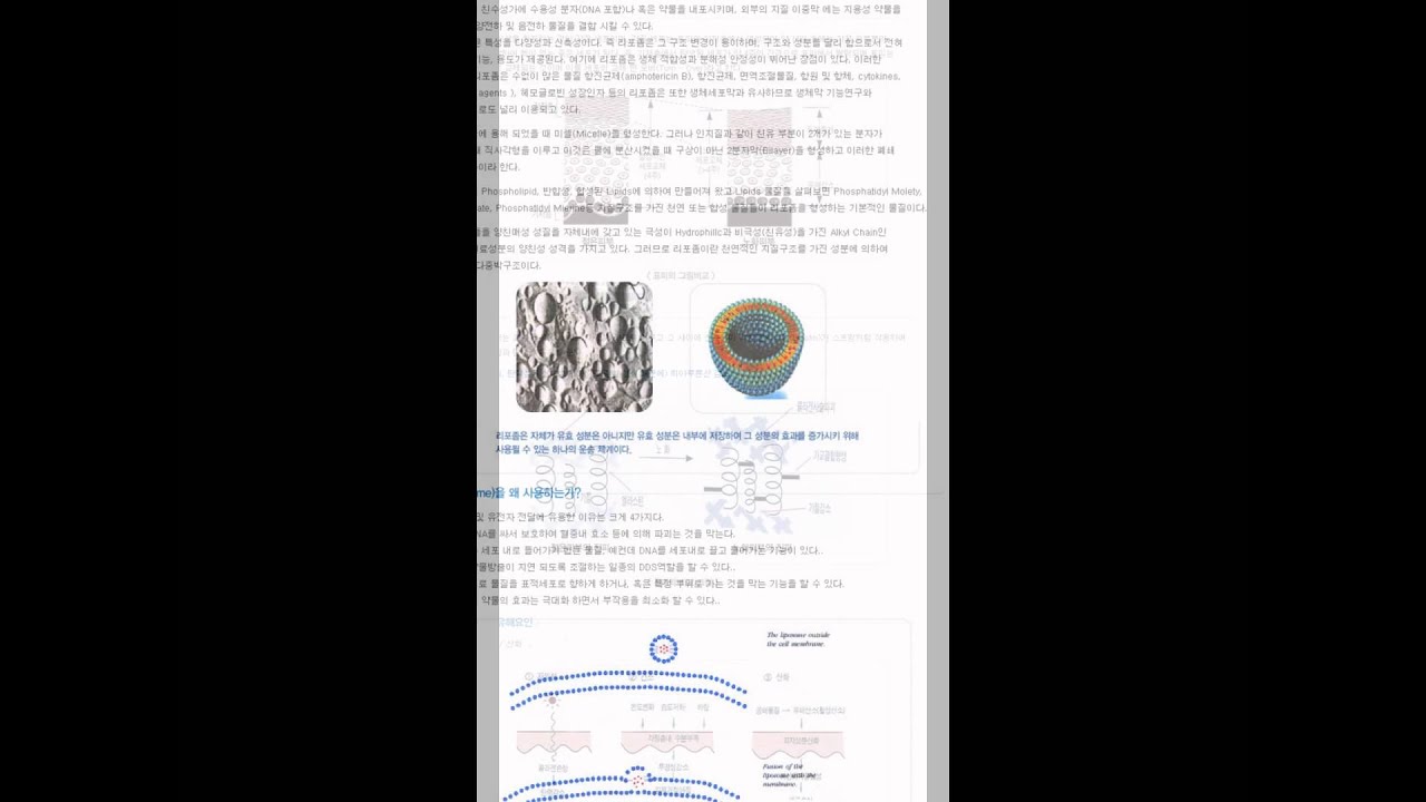 성형효과 미백 물광 보톡스 필러 연예인 자석팩 이바인화장품