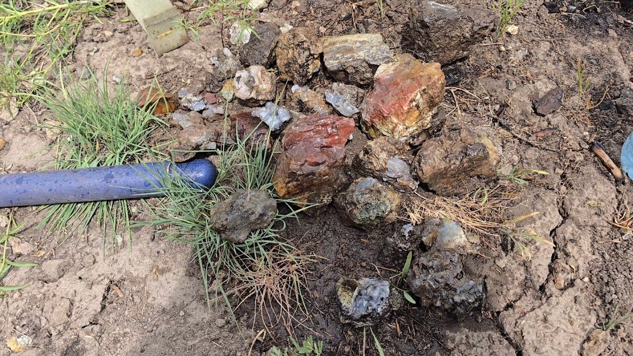 High Desert Treasures! Moss Agate Bonanza: Rockhounding Central Oregon Mountains