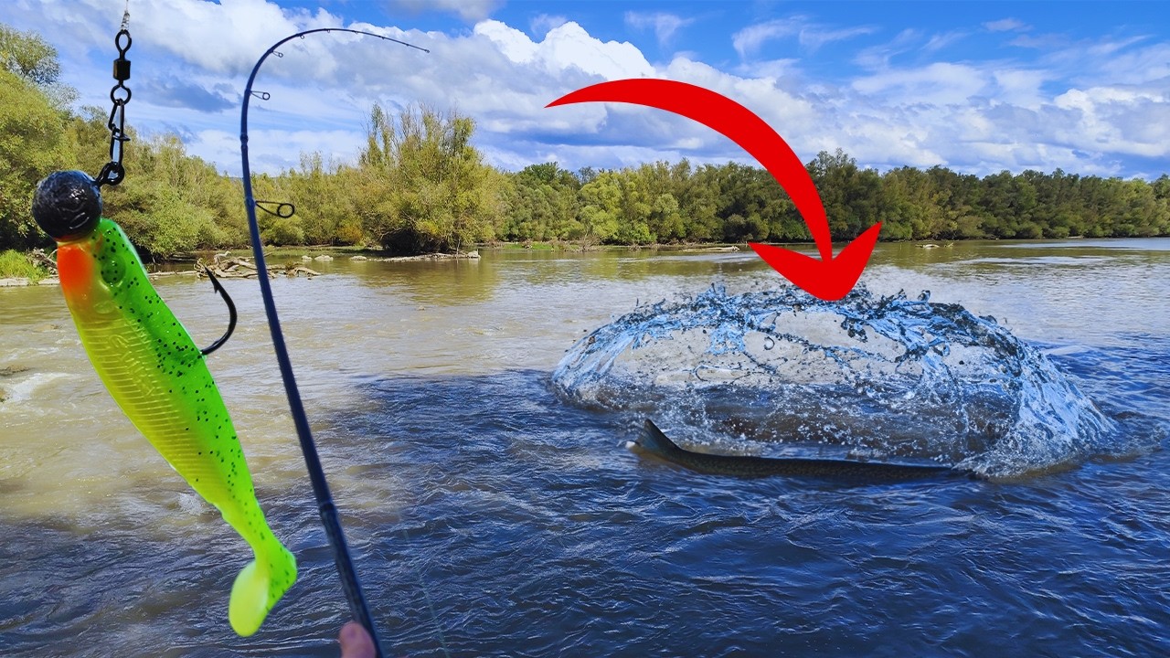🎣 Takto uloví ZUBÁČA na PRÍVLAČ aj ZAČIATOČNÍK!  Vieš ako na to ? tiež bolene a plus skúšam DROPSHOT