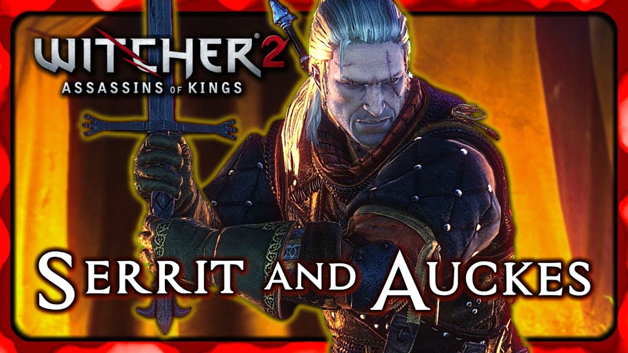 Viper School Witchers Attempt to Kill King Henselt - Witcher 2