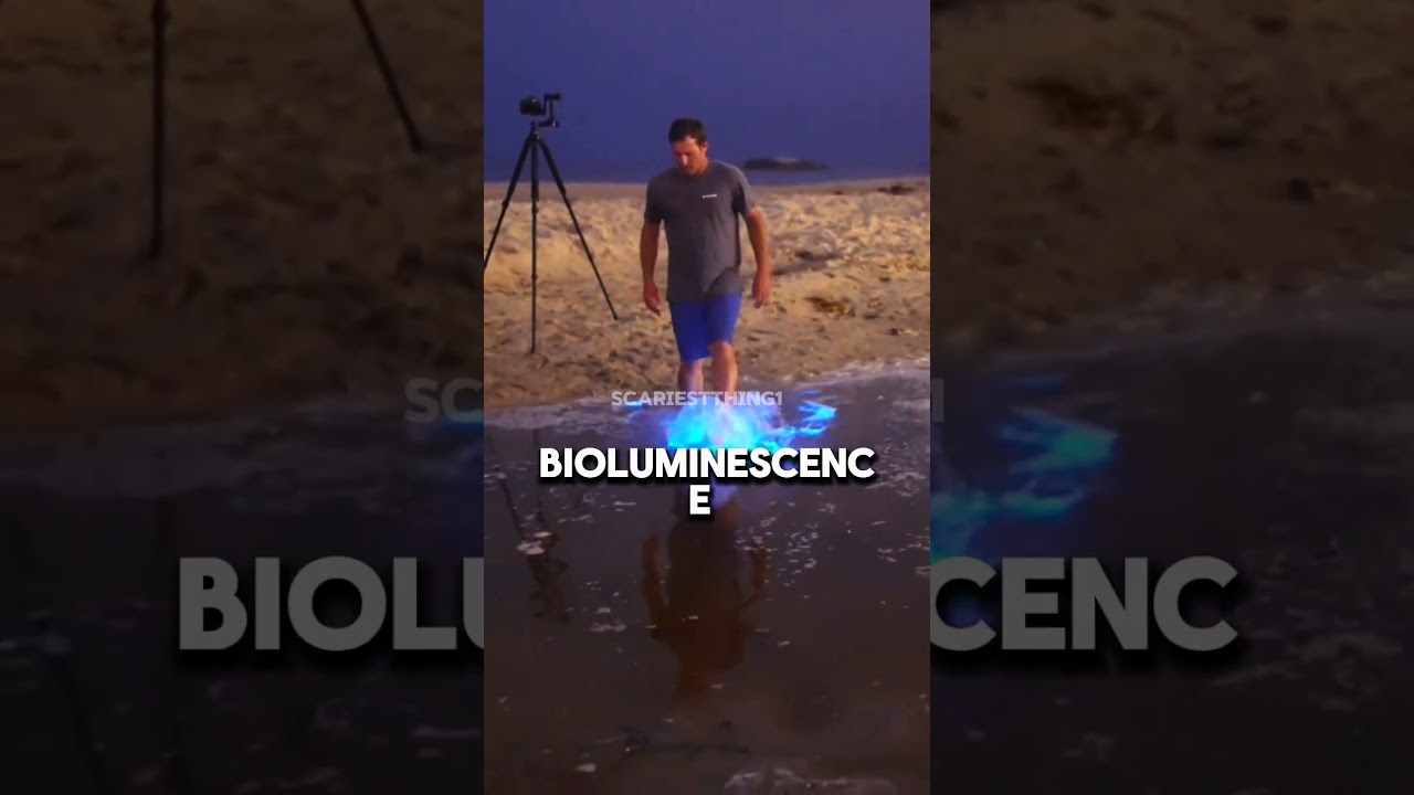 Top 5 beautiful phenomenon in the world 😯