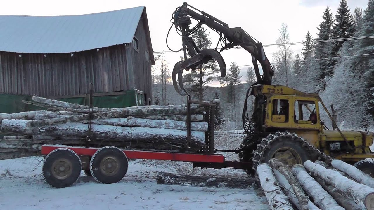 Vmv forest boxer at work 8/8