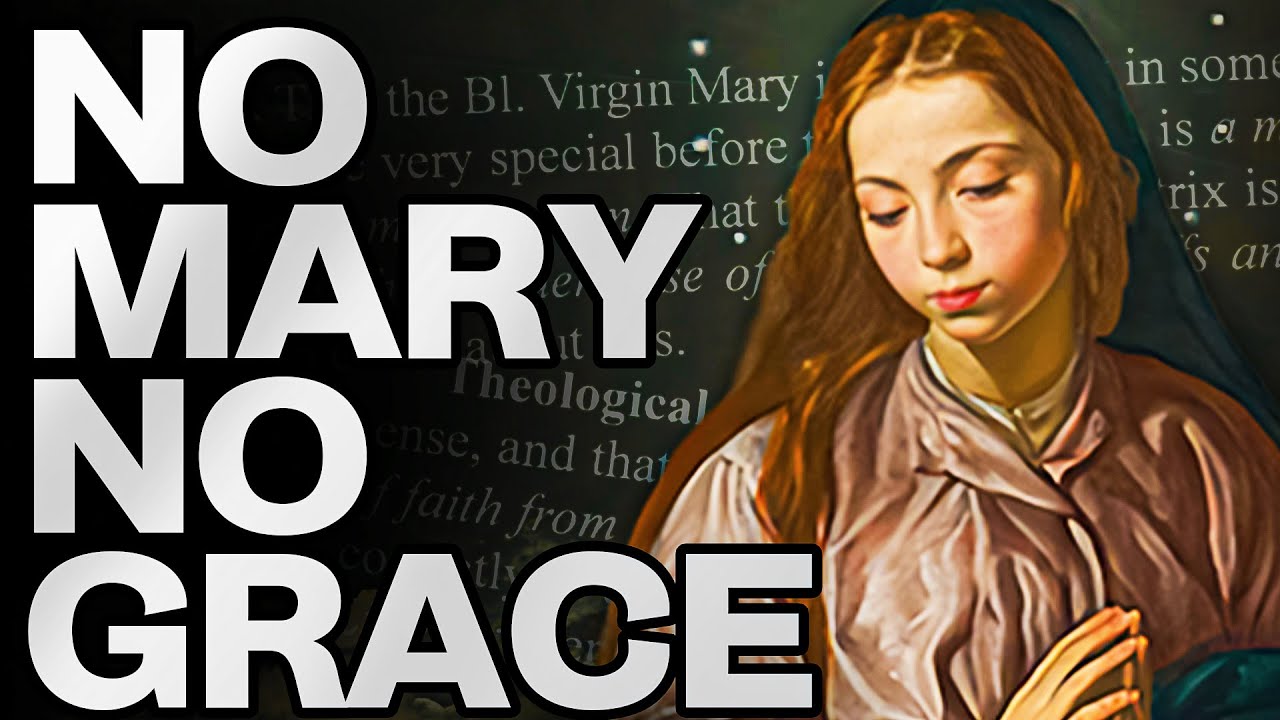 The Mother Of God Is The Mediatrix Of All Graces w/@MilitantThomist