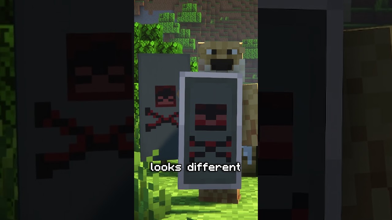 Problem z banerem Minecraft Shield