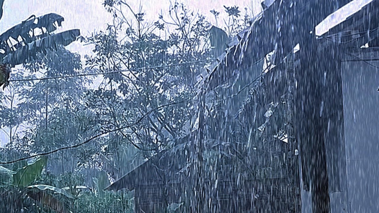 Rain & Thunder Sounds for Sleeping 🌧️ Rain Storm, Deep Sleep & Stress Relief