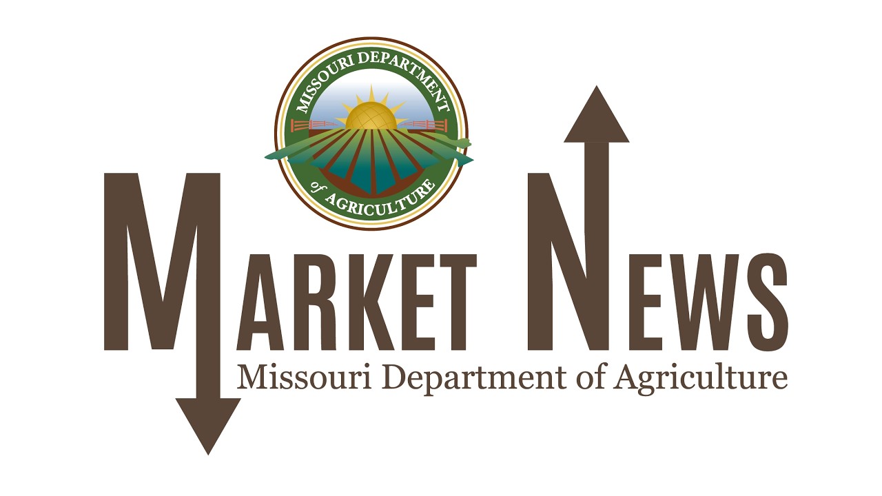 Daily Market Report Feb 11, 2026