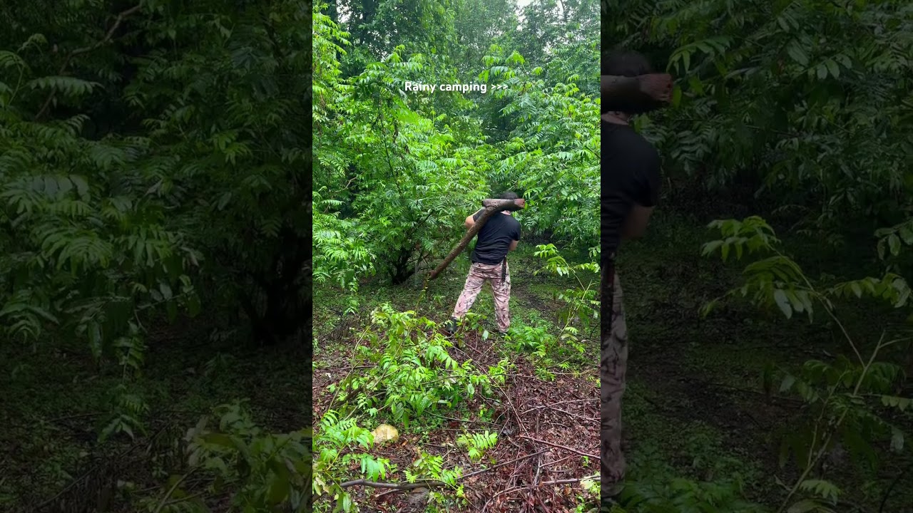 #camping #rain #rainyday #emotional #youtubeshorts #wildlife #animals #animal #nature