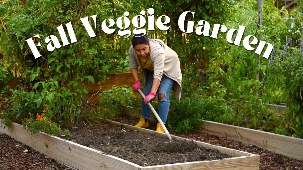A little bit of Shopping + Planting 😎🥬 Fall Vegetable Garden