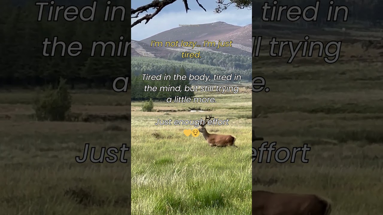 I’m not lazy… I’m just tired 