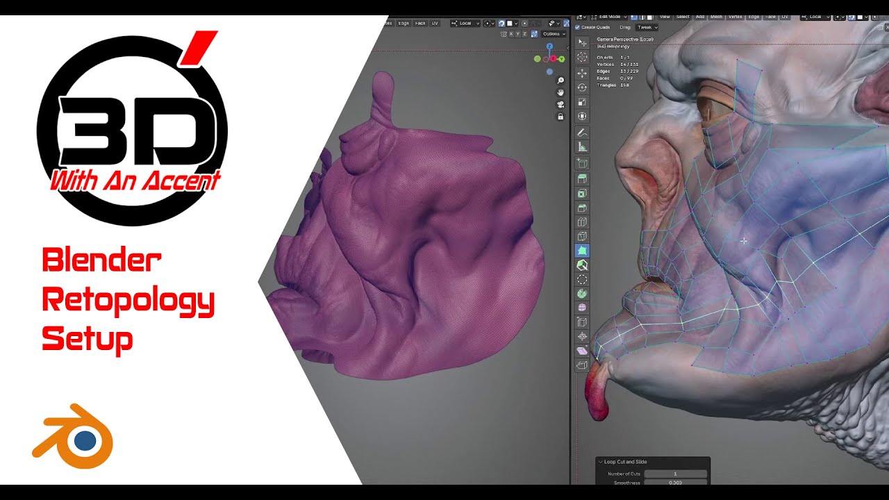 Retopology set up In Blender