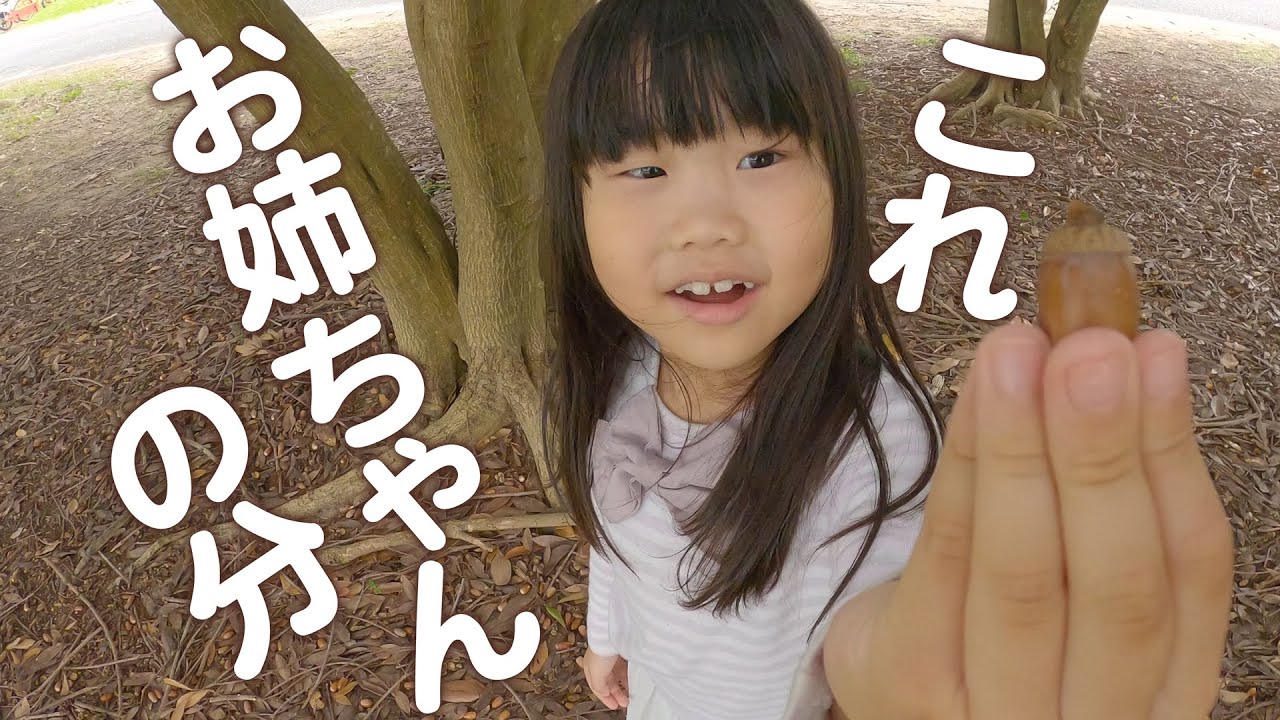 次女とパパママ3人でのお出掛け。長女の分までどんぐり集めてニッコニコ