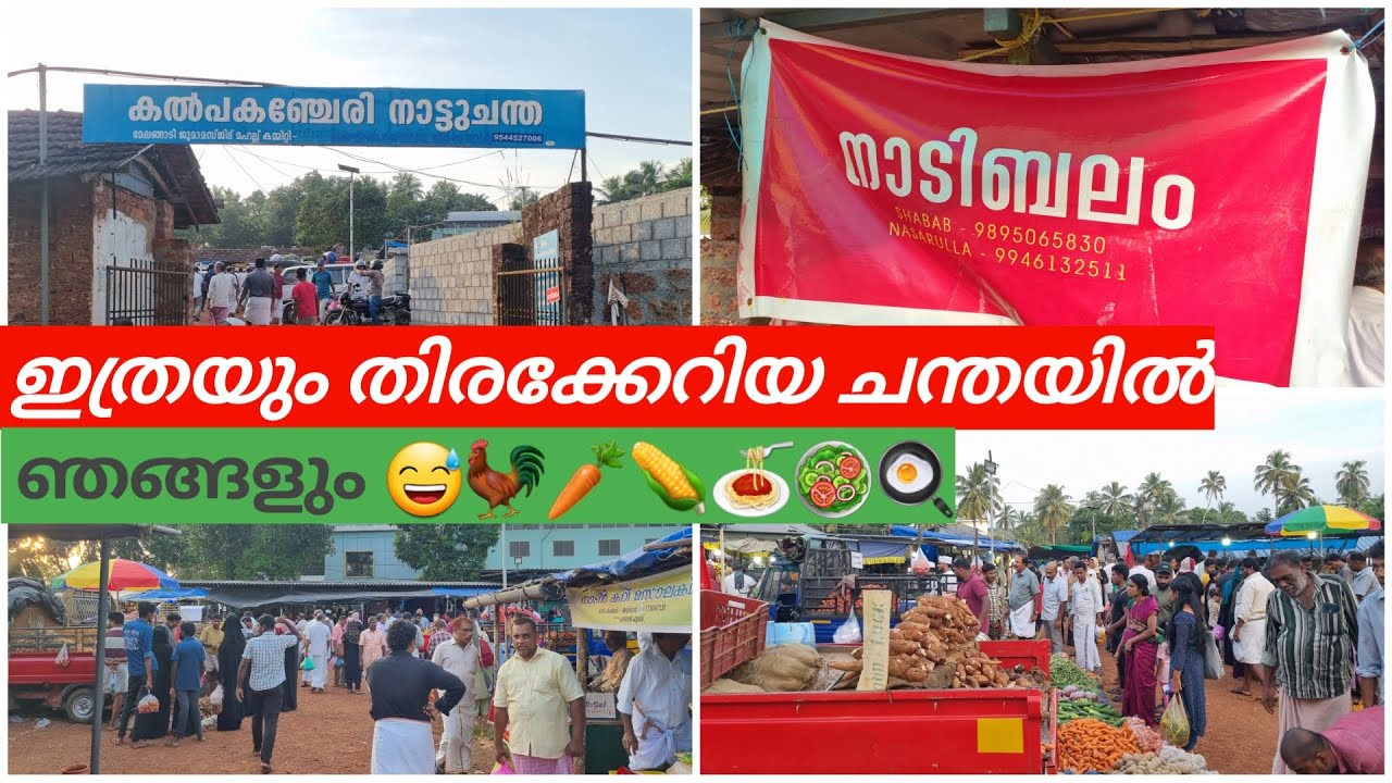 നമ്മുടെ കൽപകഞ്ചേരി നാട്ടു ചന്ത വിശേഷങ്ങൾ | kalpakanchery chantha