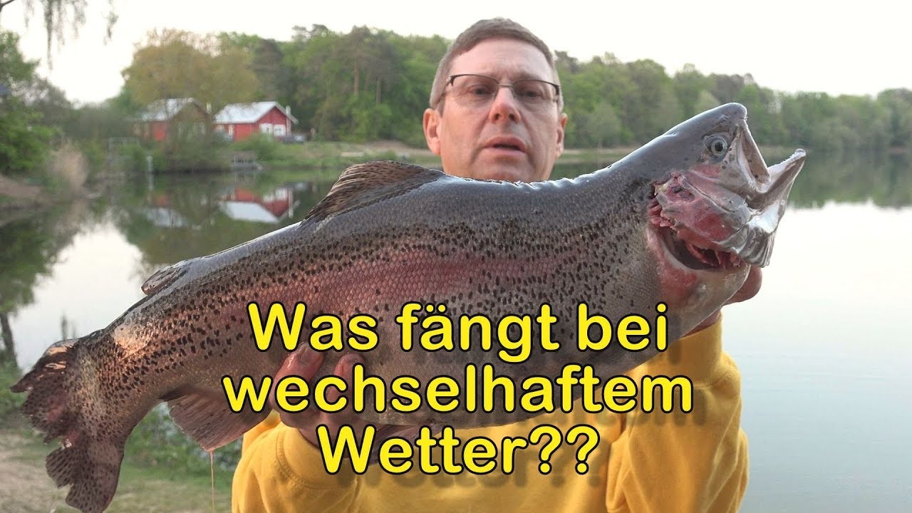 Was fängt bei wechselhaftem Wetter??