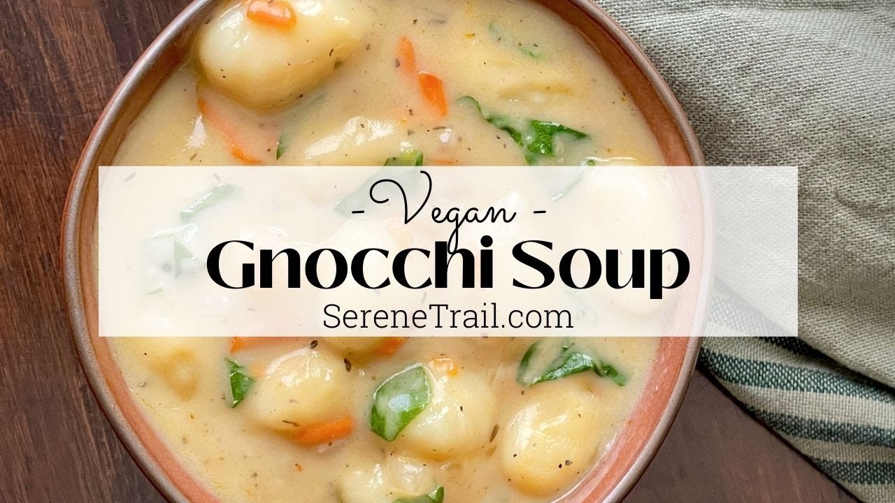 Vegan Gnocchi Soup