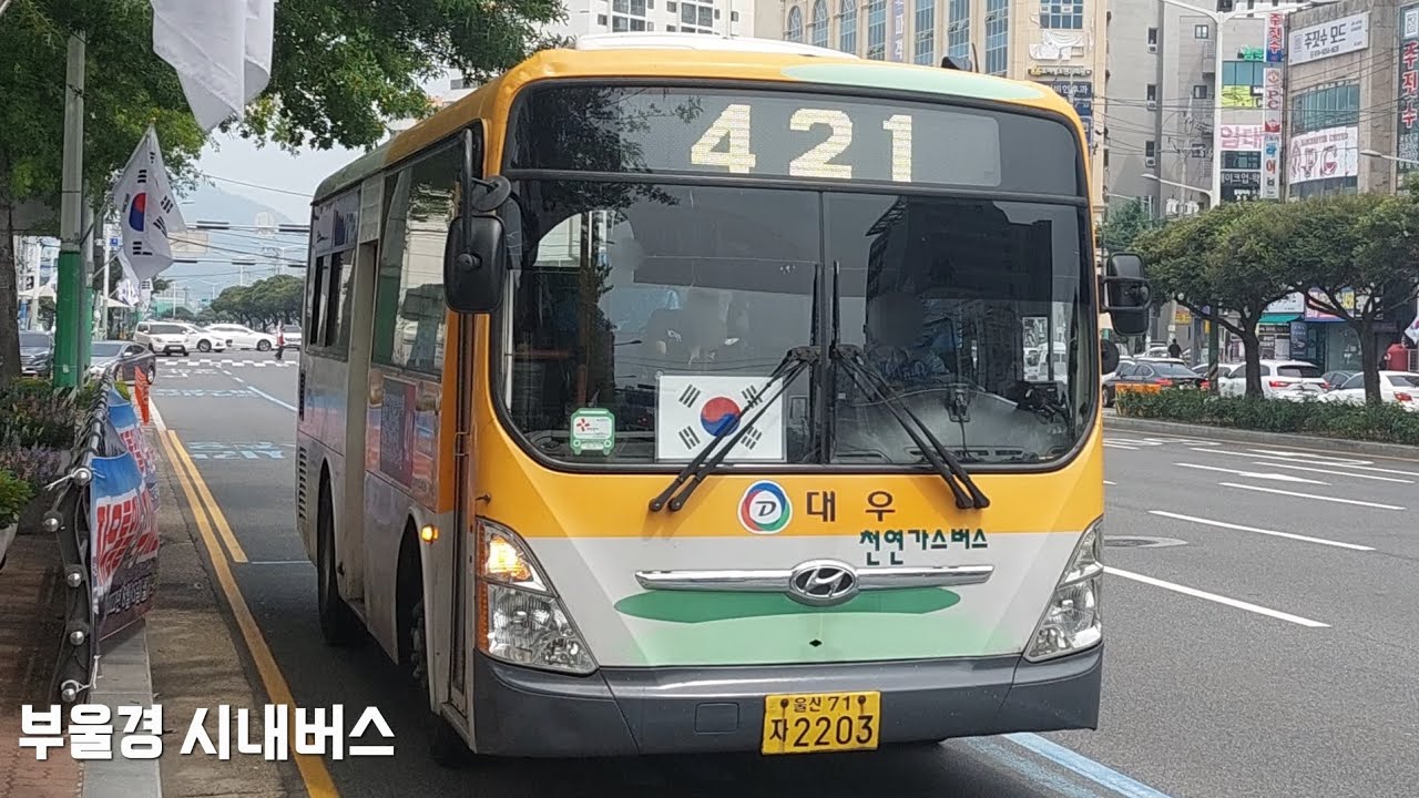 (🇰🇷광복절 특집)울산 대우여객 421번 [KBS방송국앞 ~ 참바른병원]구간 주행영상