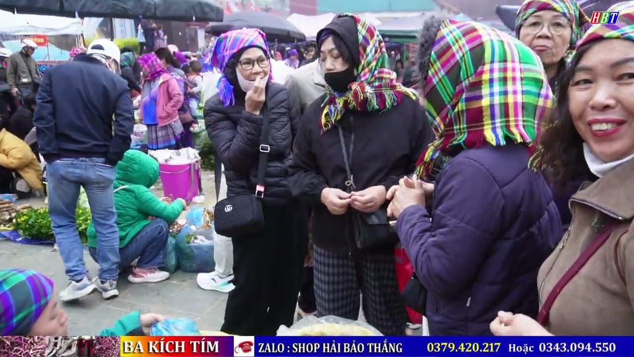 CHỢ CUỐI NĂM TÂY BẮC - BẮC HÀ NHỘN NHỊP | Đoàn Người đổ sô mua dược liệu đặc sản về ngâm rượu tết 