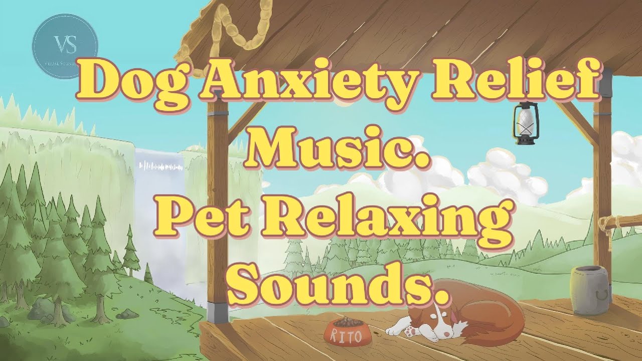 Dog Anxiety Relief Music, pet anti stress sounds. #petrelaxation #ambience #relaxingmusic
