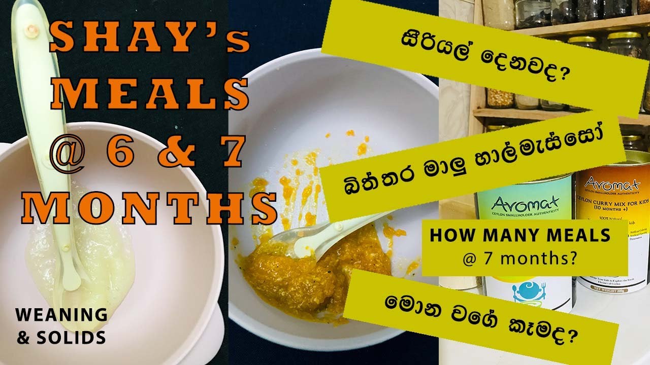 FIRST FEW WEEKS OF STARTING SOLIDS | WHAT SHAY EATS | 6 MONTHS | Sinhala | Dhananjie Padmaperuma