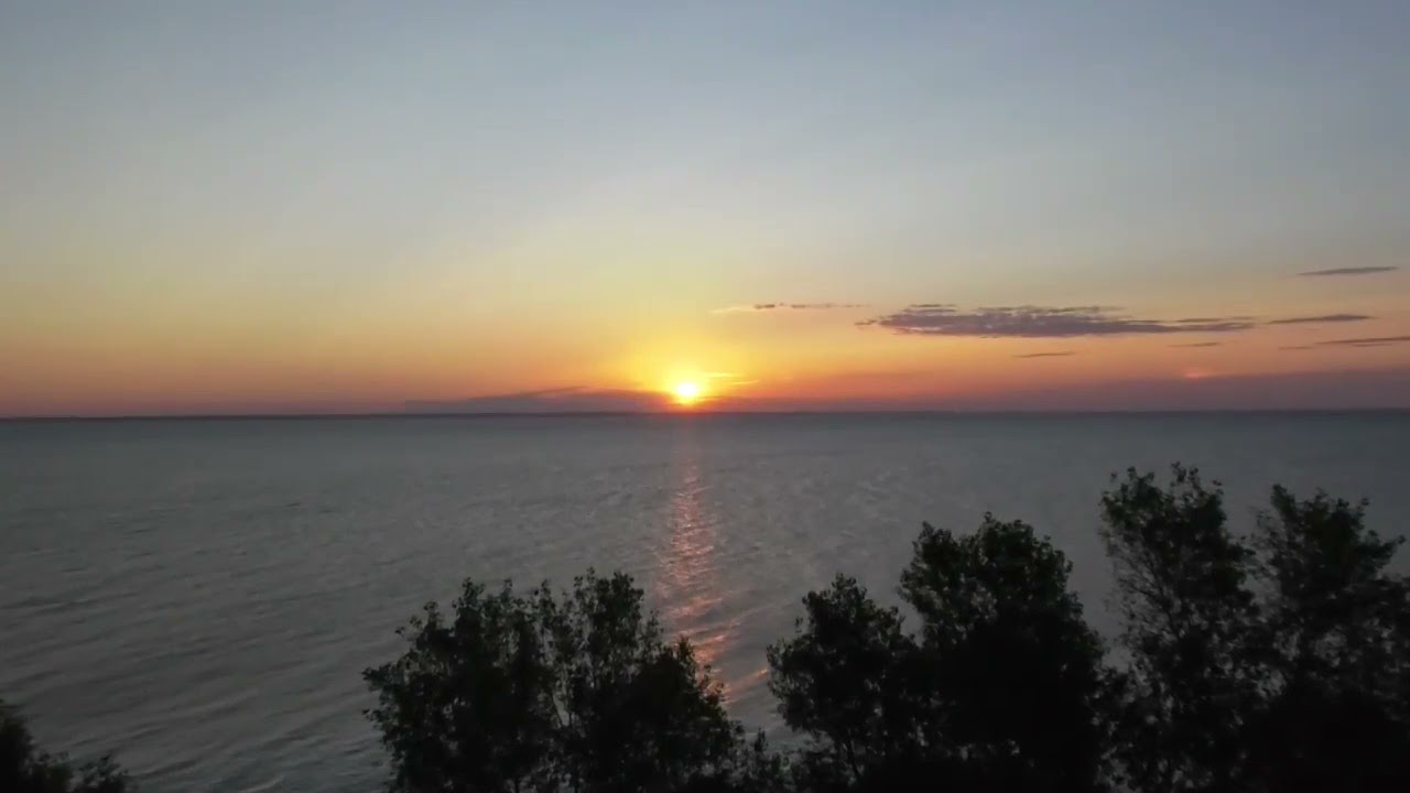 Боровиця