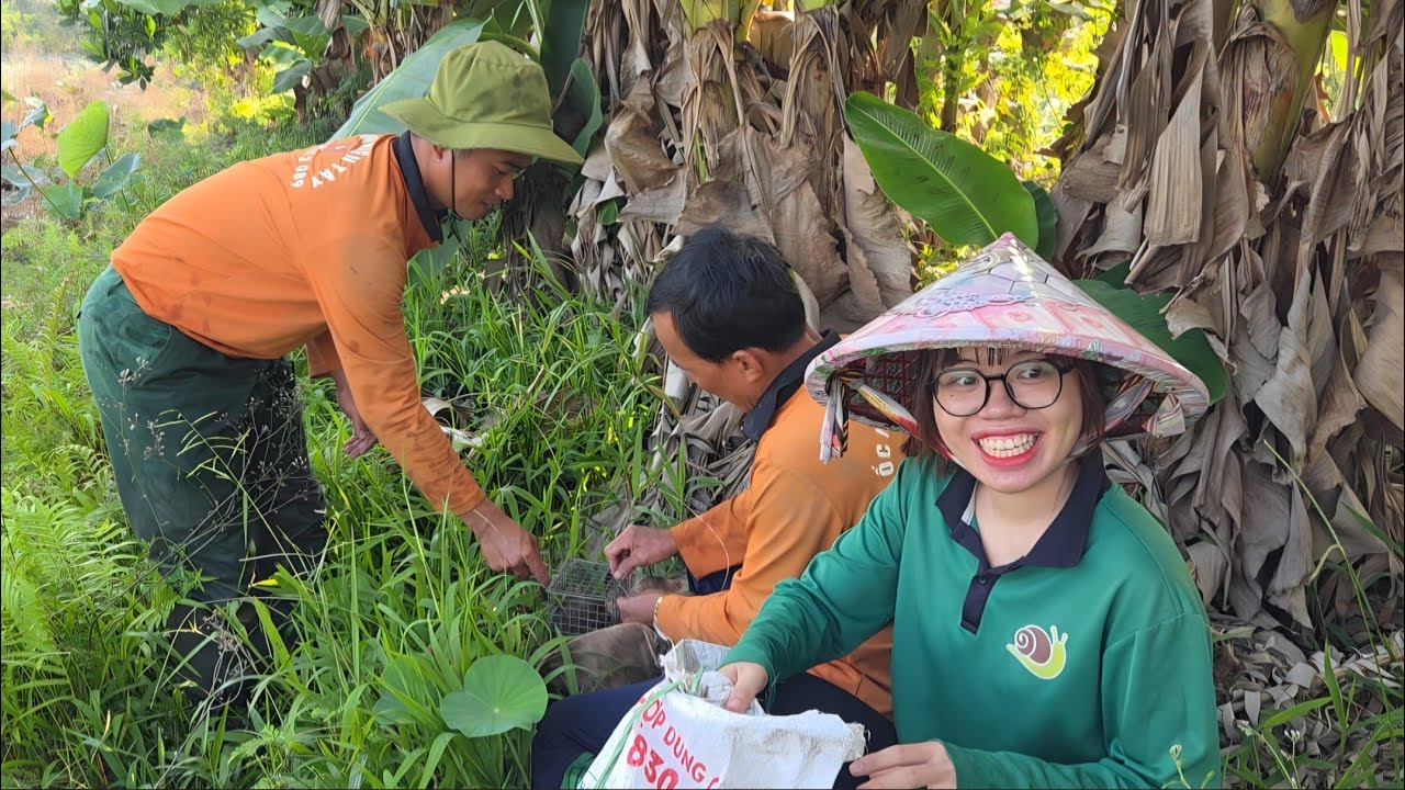 Đặt Bẫ.y Cống Nhum Giai Đoạn Lúa Đang Trổ Bông_Làm 2 Món NÀY Ăn Quá Ngon..| ONMT #Tập 225