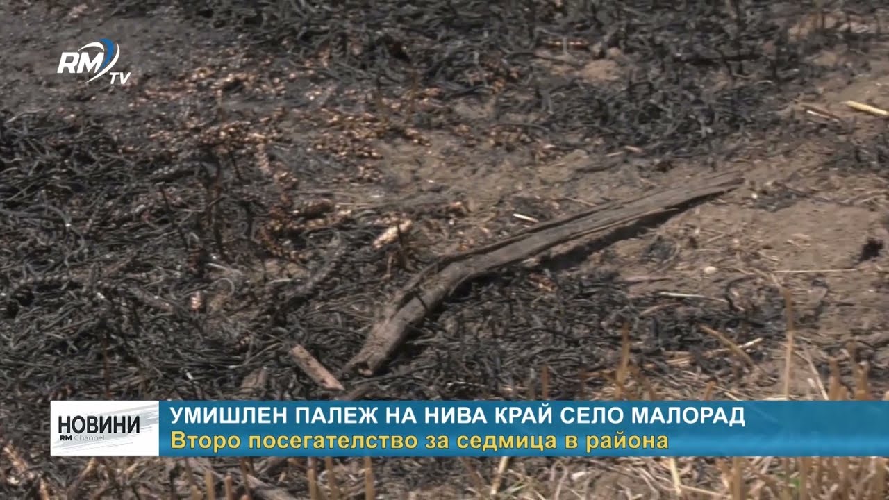 RM TV: Умишлен палеж на нива край село Малорад - второ посегателство за седмица в района