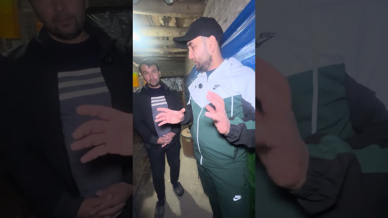 Namanganda quyonchilik bilan shugullanadigan Akramxon akamizni fermalarimi koramiz birgalikda