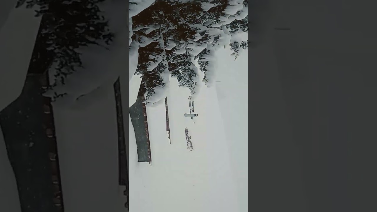 The Winterwonderland has the snow back. Was covered with a fluffy layer