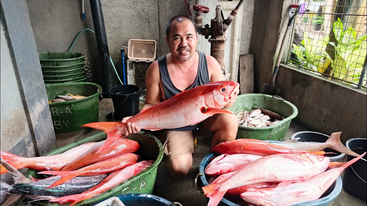 Magagandang mga isda ang nakoha #fishing #katropadante #ytchannel 