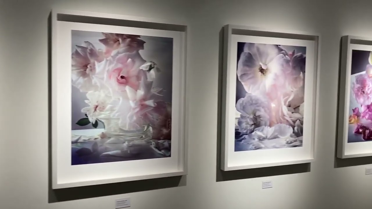 Nick Knight Nice