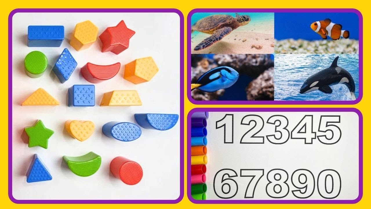 Learning Shapes, Sea Animals, Numbers, Alphabet Flashcards, Coloring, Counting Cars & Painting
