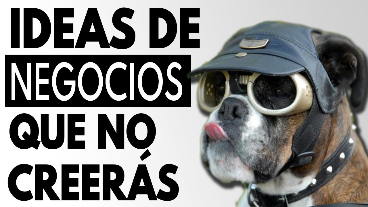 7 Negocios RAROS y Bizarros que Hicieron MILLONES 💰