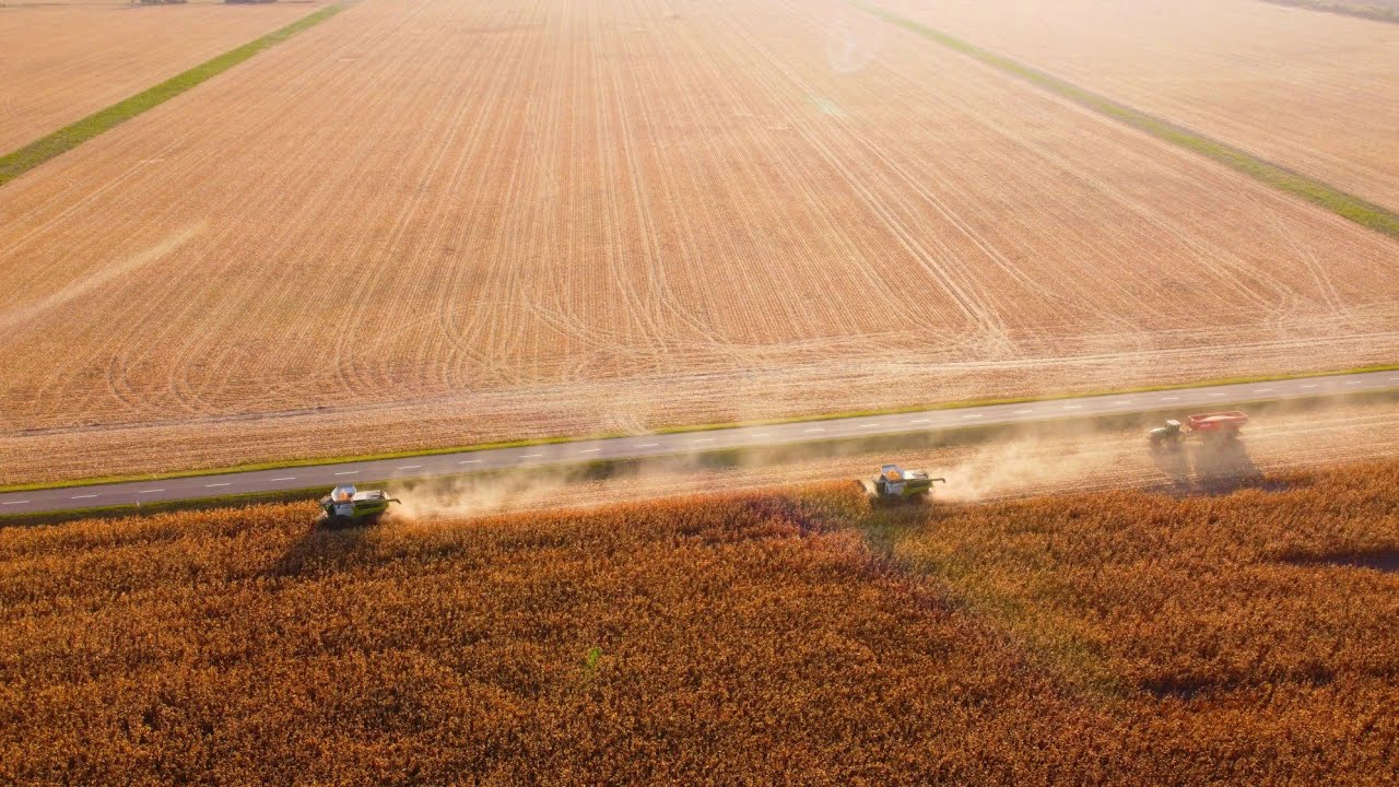2x 🤍❤️💚CLAAS LEXION 8800tt in corn🌽 l Donau Farm Kalná nad Hronom l