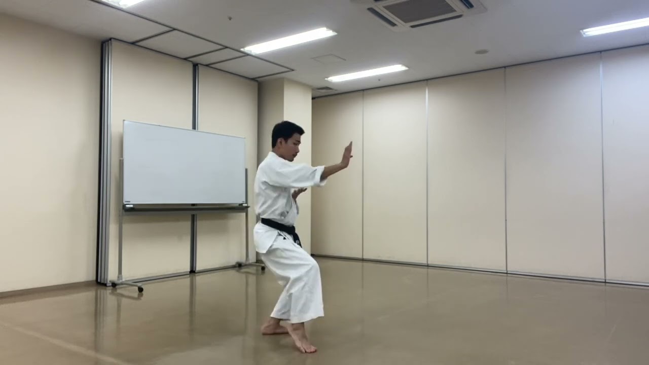 松林流空手 形 稽古 平安初段 vol.1