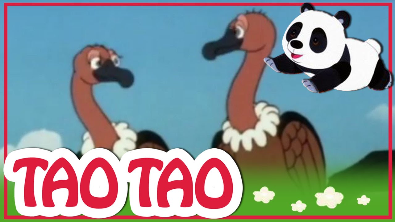 Tao Tao - Episodio 8 - consecuencia completica