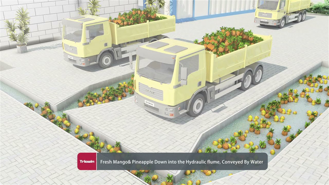 Mango/Pineapple Processing Line--3D demo Application in food industry
