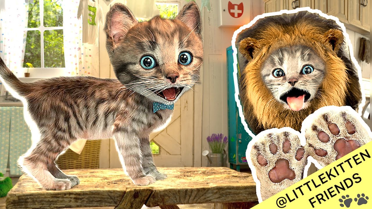 FUNNY CATS CUTE LITTLE KITTEN ADVENTURE - CUTE ANIMATED KITTY FRIENDS #1039